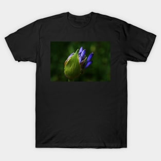 Newborn Lily of the Nile Flower T-Shirt